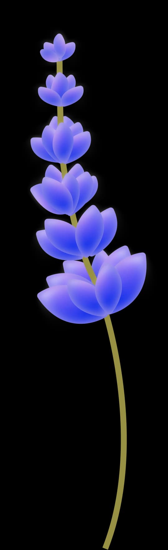 Flower Timeline